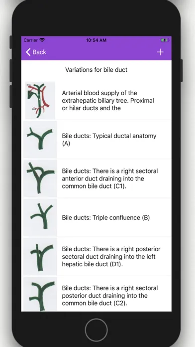 Vascular Variants应用截图