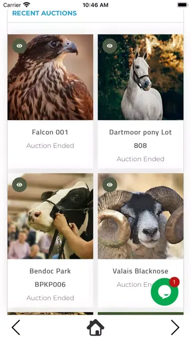N64 Falcon应用截图