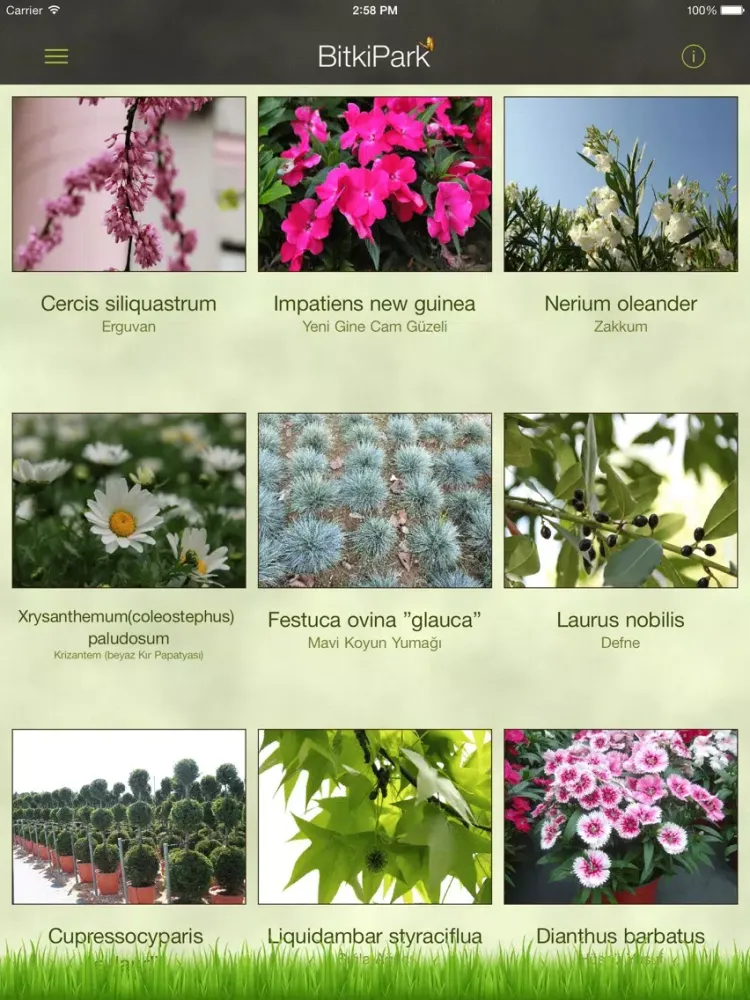BitkiPark iPad 应用截图