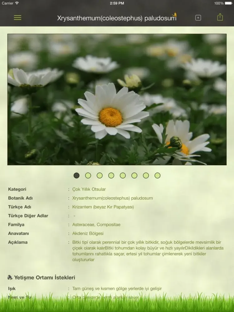 BitkiPark iPad 应用截图