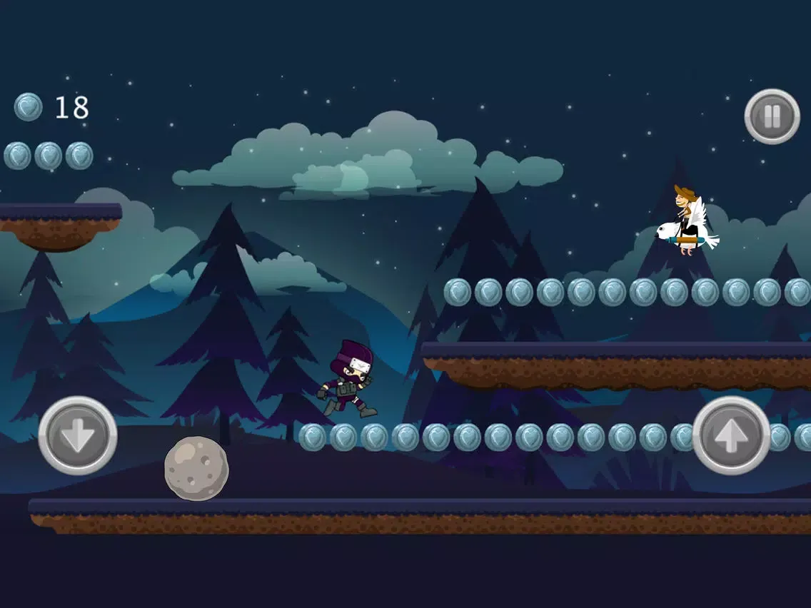 صور Ninja Shadow Fight iPad 