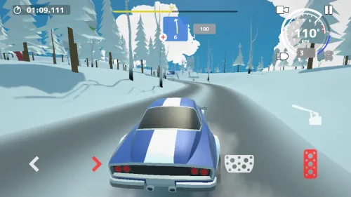 N3Rally-screenshot-3