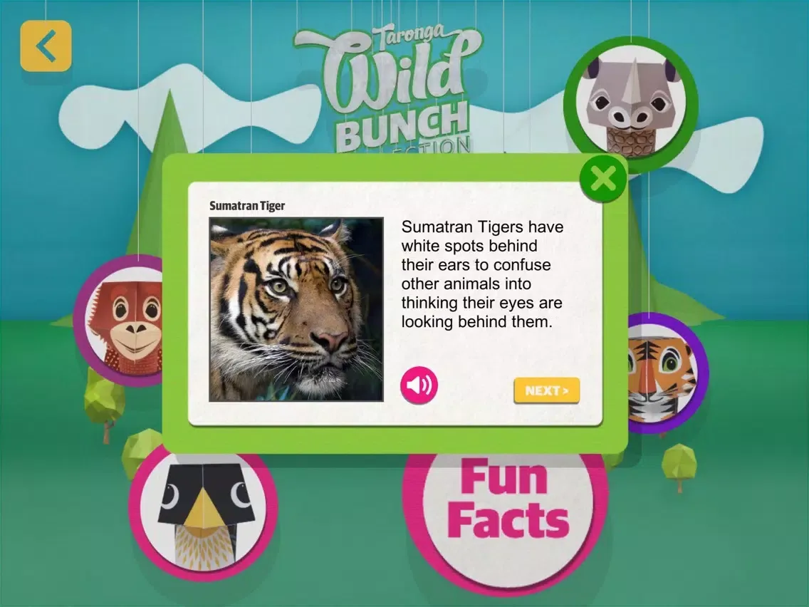 تصاویر The Wild Bunch iPad 