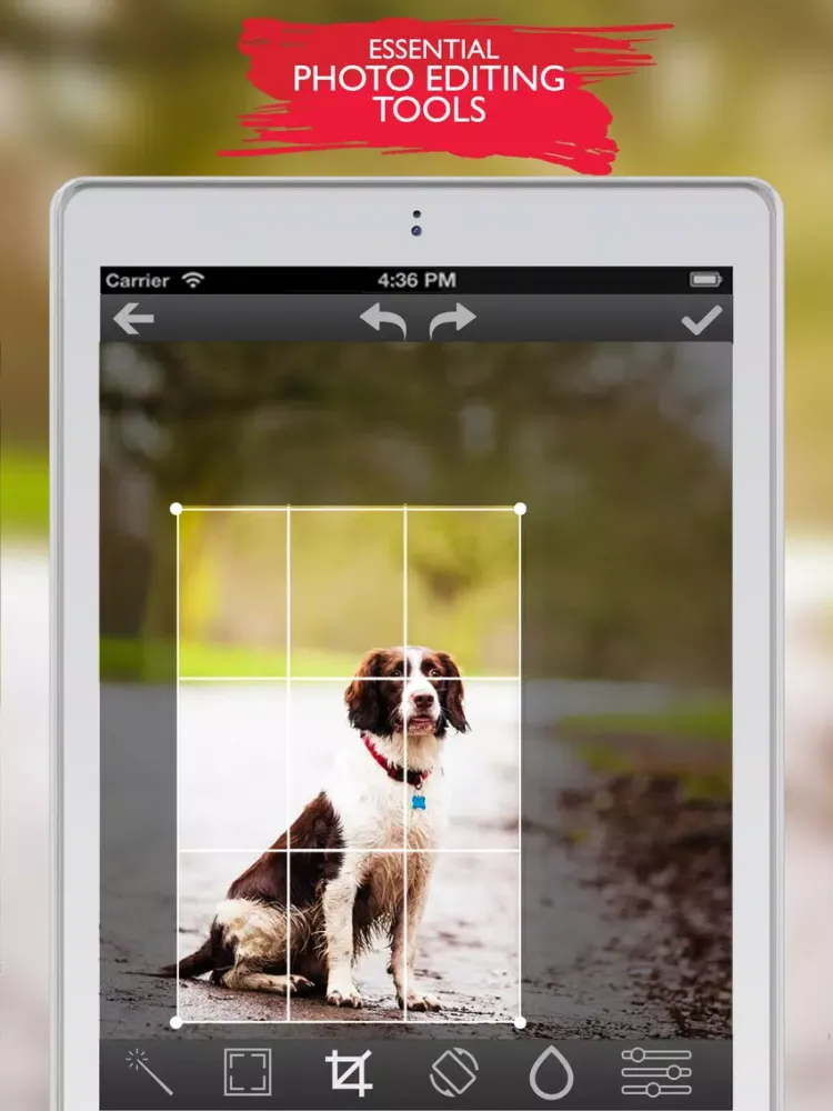 ภาพหน้าจอของ Picture Editing Effects - Photo Face Editor Camera iPad 
