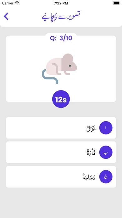 Nahw Ki Dunya - learn Arabic 스크린샷