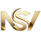 NS Vendors