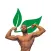 Built By Plants Coaching