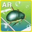 물에 사는 내친구 AR Book 물에 사는 내친구 AR Book