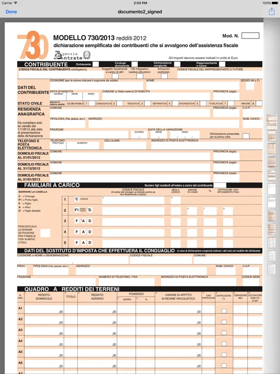 Firma Digitale Guardia di Finanza iPad  スクリーンショット
