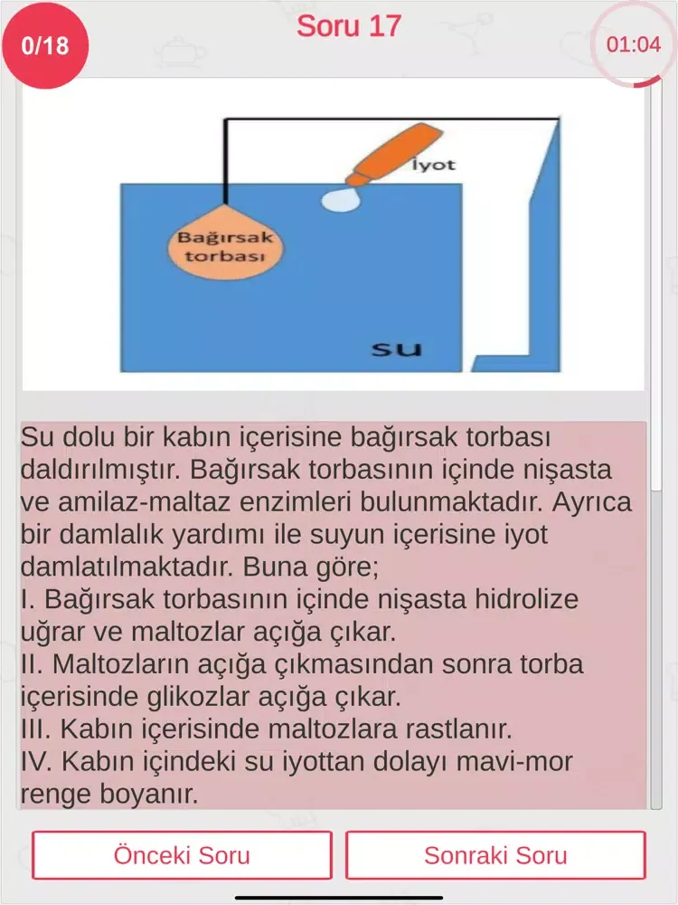 Victor Canlı Deneme AYT - TYT iPad  سکرین شاٹس