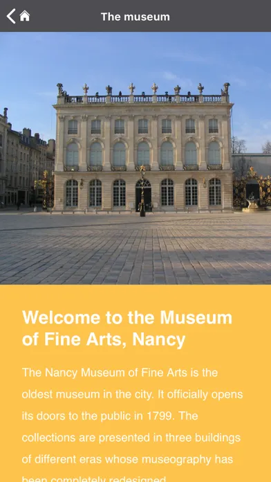 Musée des Beaux-Arts, Nancy स्क्रीनशॉट