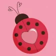 Love Bug - Messages & Advise Love Bug - Messages & Advise
