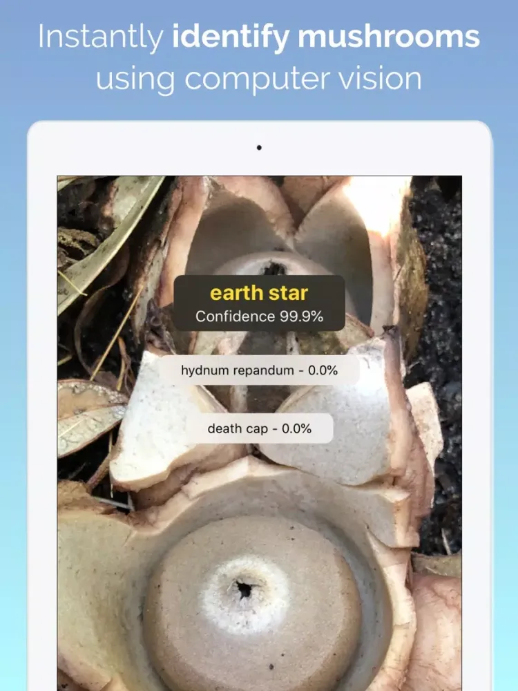 What's this mushroom? iPad  Screenshots