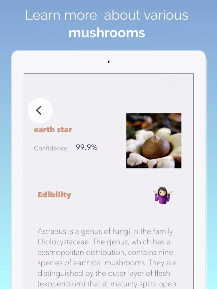 What's this mushroom? iPad  Screenshots