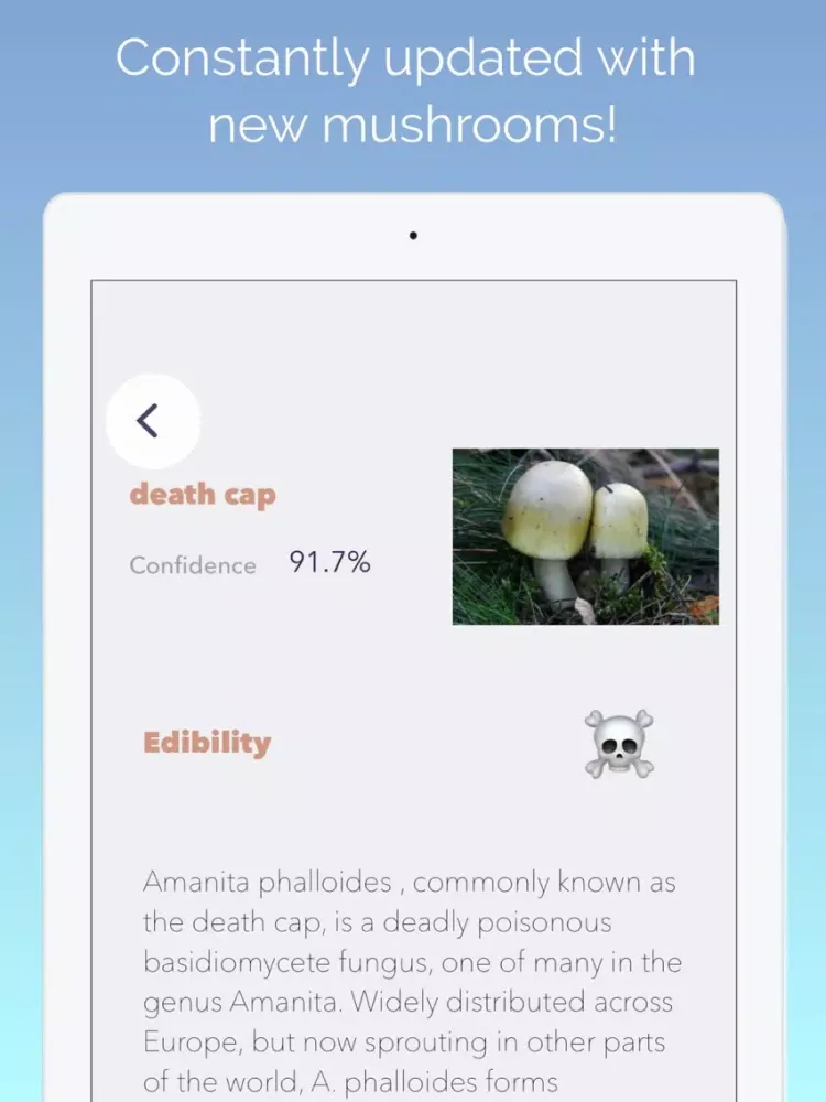 What's this mushroom? iPad  Screenshots