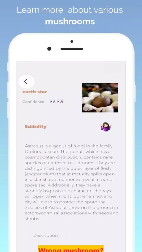 What's this mushroom? Screenshots