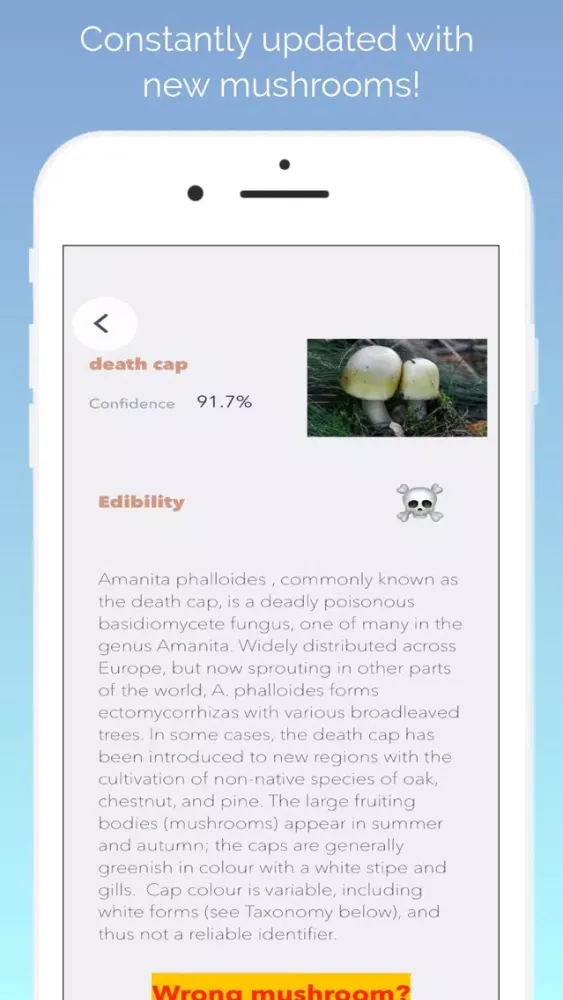 What's this mushroom? Screenshots