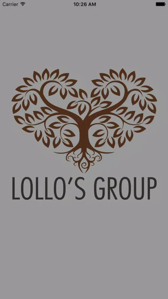 Captures d'écran de Lollo's Group