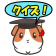 モルモット力診断クイズ