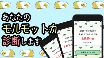 صور モルモット力診断クイズ
