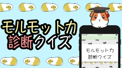 صور モルモット力診断クイズ