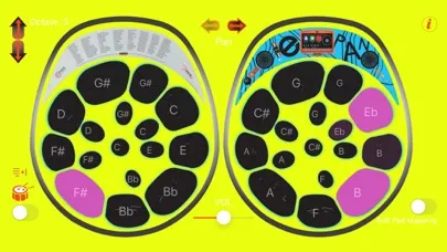 Steelpan App PRO Kids স্ক্রিনশট