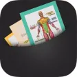 Anatomy Cards Anatomy Cards