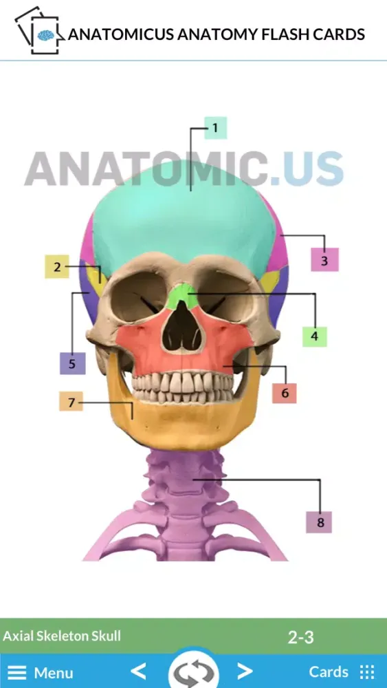 Capturas de tela do Anatomy Cards