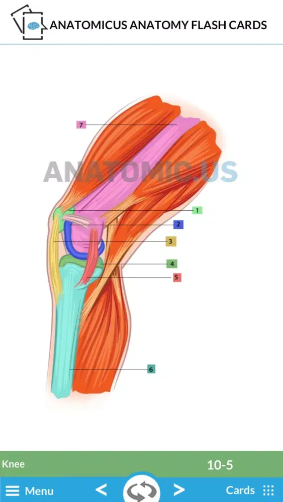 Capturas de tela do Anatomy Cards
