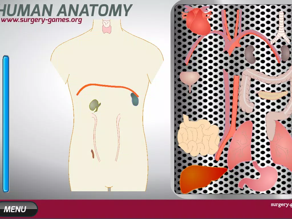 Capturas de tela do Human Anatomy Game iPad 