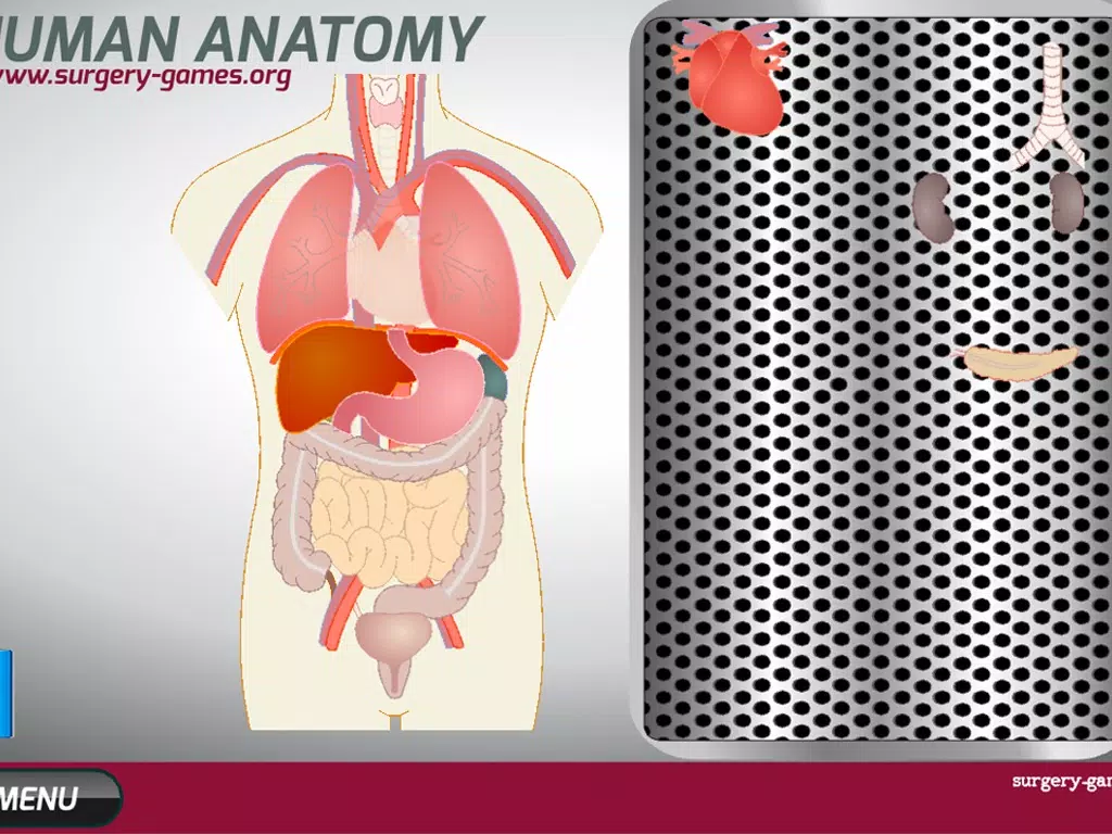 Capturas de tela do Human Anatomy Game iPad 