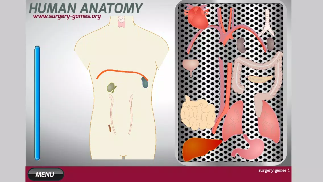 Capturas de tela do Human Anatomy Game