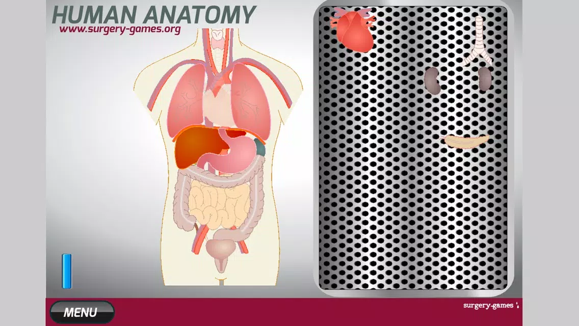 Capturas de tela do Human Anatomy Game