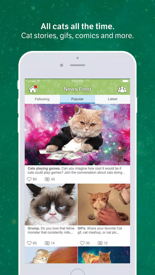 Amino for: Cats and Kittens Screenshots