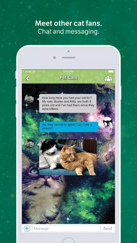 Amino for: Cats and Kittens سکرین شاٹس