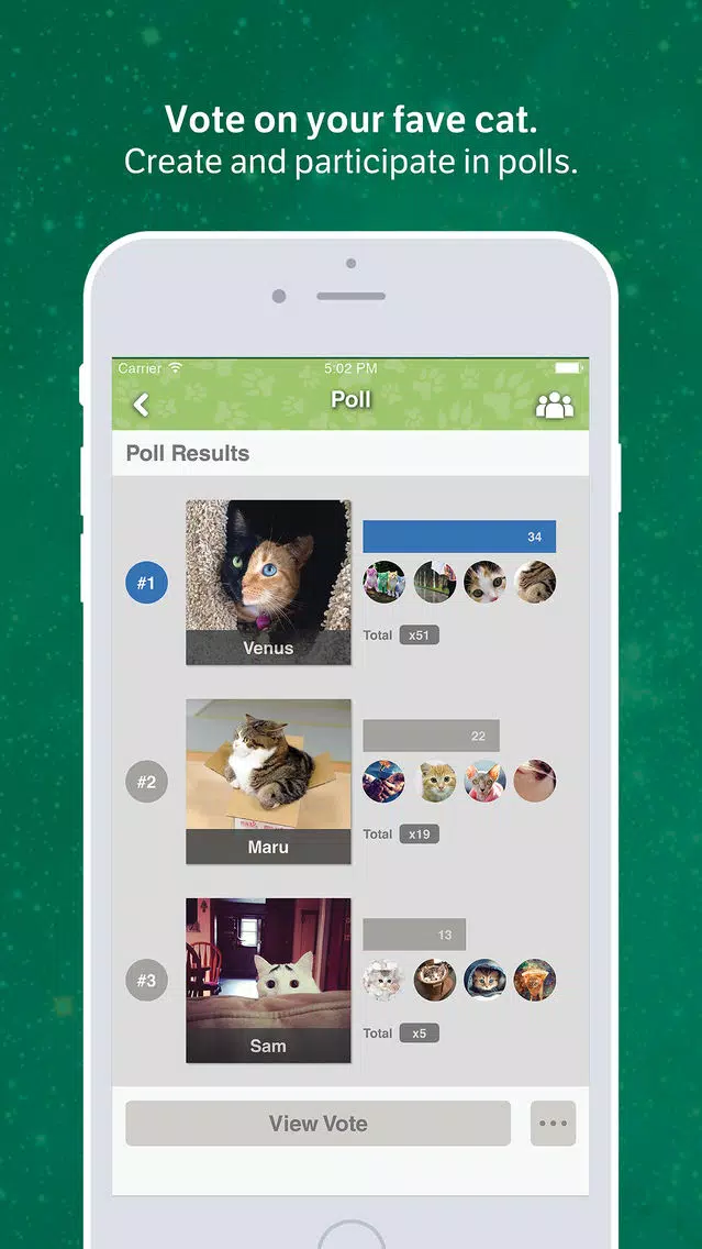 Amino for: Cats and Kittens Screenshots