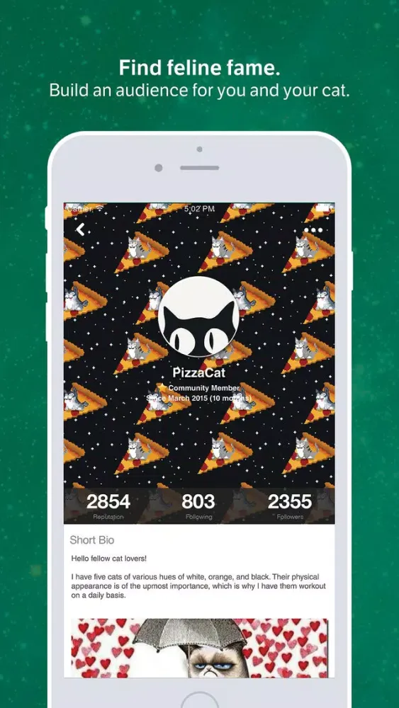 Amino for: Cats and Kittens سکرین شاٹس