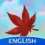 Amino for MapleStory