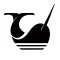 Narwhal Collector
