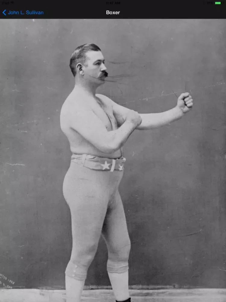 Boxing Heavyweight Champions iPad  Screenshots