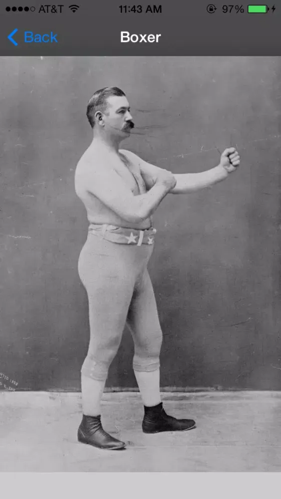 Boxing Heavyweight Champions Screenshots