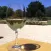 Sonoma County Winery Finder