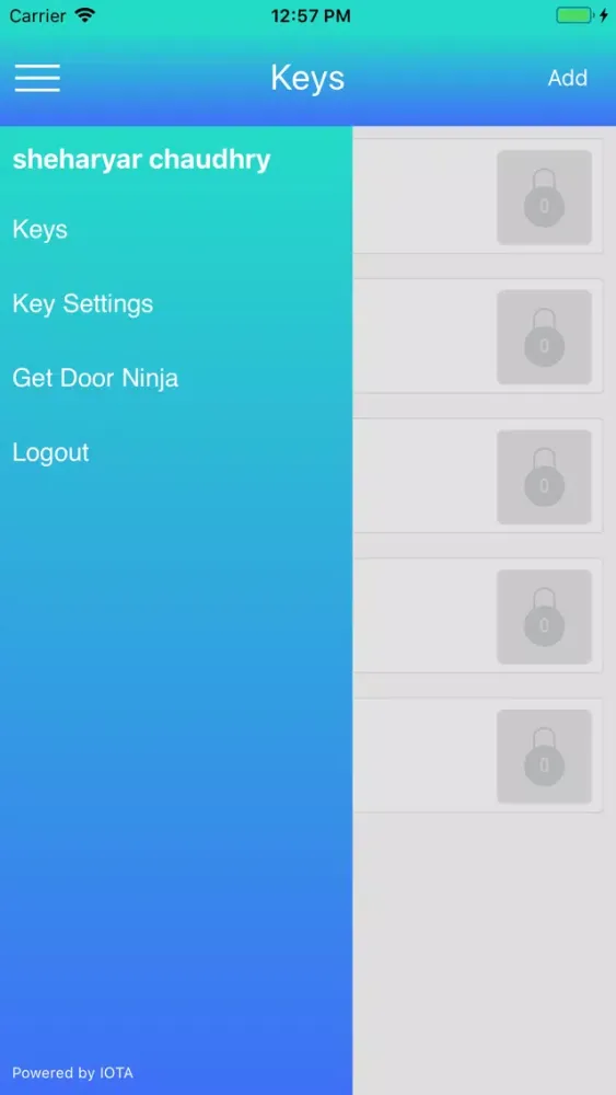 Zrzuty ekranu Door Ninja