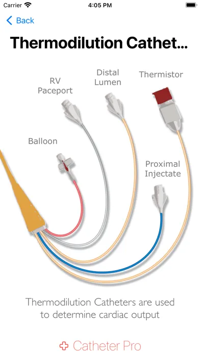 ภาพหน้าจอของ Catheter Pro