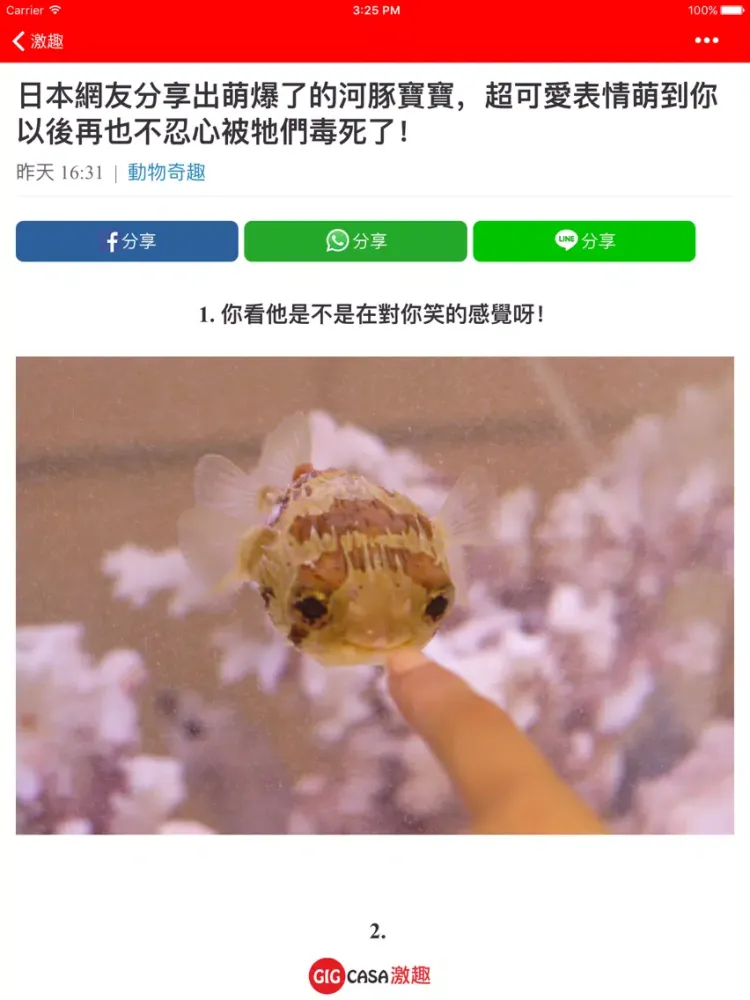 激趣新聞 GigCasa iPad  स्क्रीनशॉट