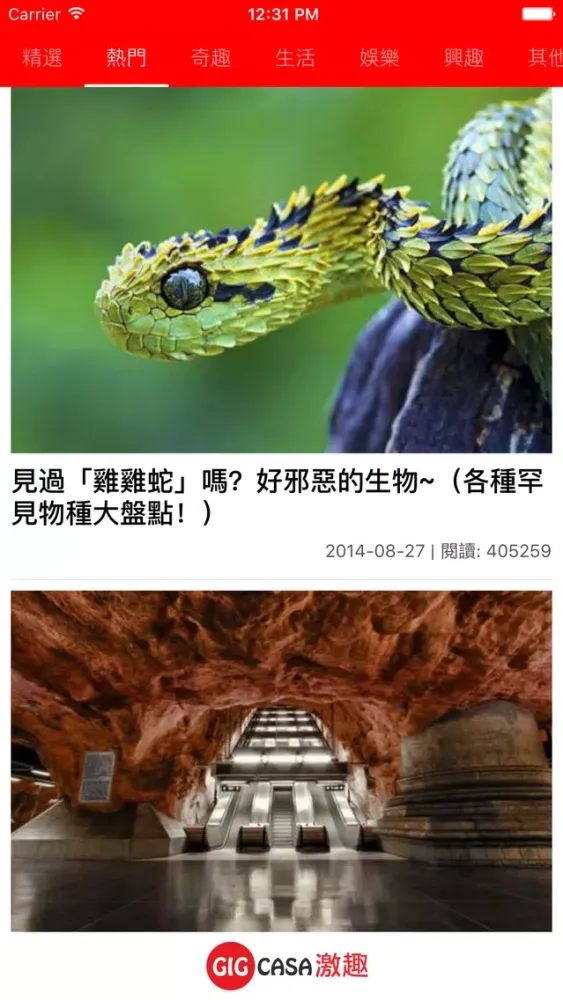激趣新聞 GigCasa स्क्रीनशॉट