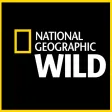 National Geographic Wild