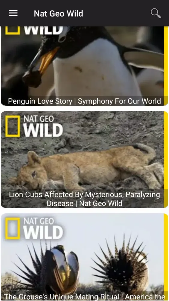 National Geographic Wild Screenshots