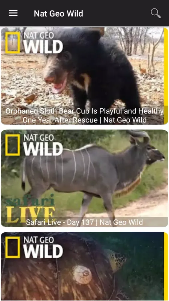 National Geographic Wild Screenshots
