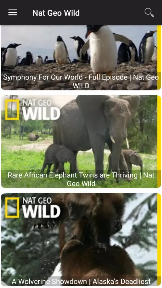 National Geographic Wild Screenshots